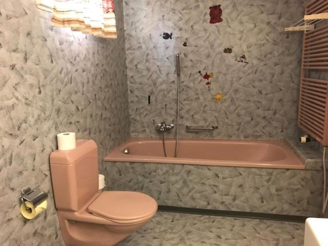 Hotel Alpina انترواسر المظهر الخارجي الصورة